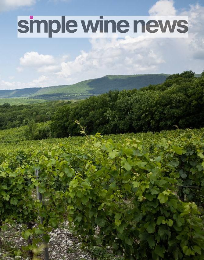 Interview with Leonid Fadeev, CEO of Domaine Burnier